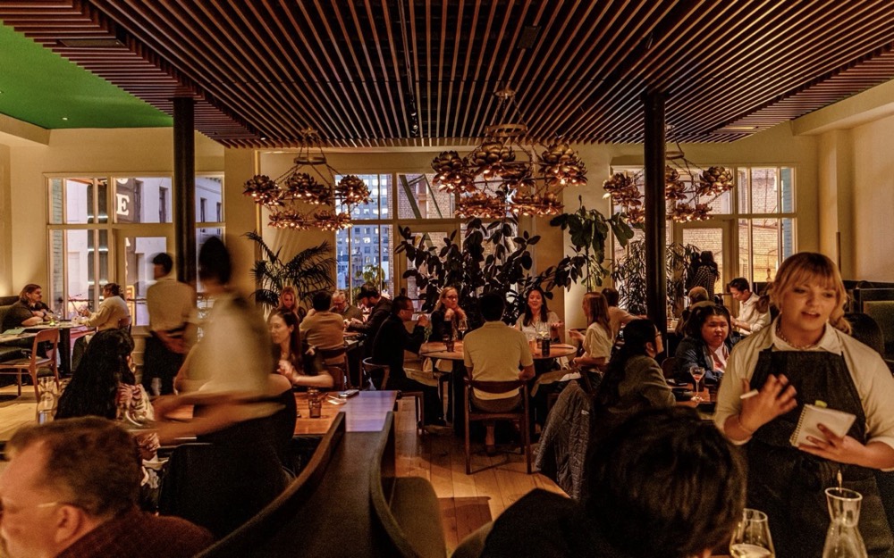 Mister Jiu's — the dining room mid-service